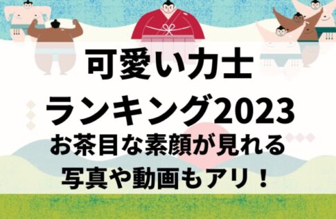 可愛い力士ランキング