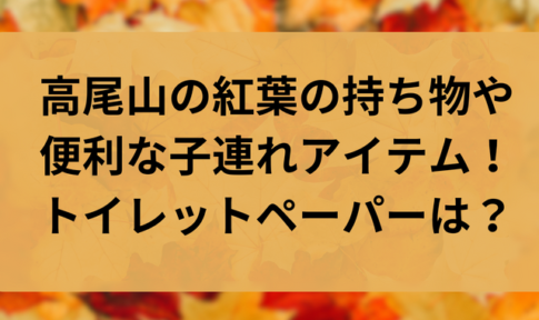高尾山の紅葉の持ち物や便利な子連れアイテム！トイレットペーパーは？