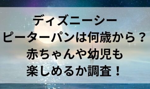 ディズニーシーピーターパンは何歳から？