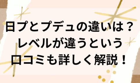 日プとプデュの違いは？